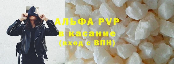 прущие крисы Абаза
