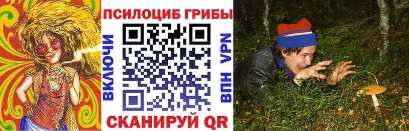 где купить наркоту Кораблино Псилоцибиновые грибы Psilocybe